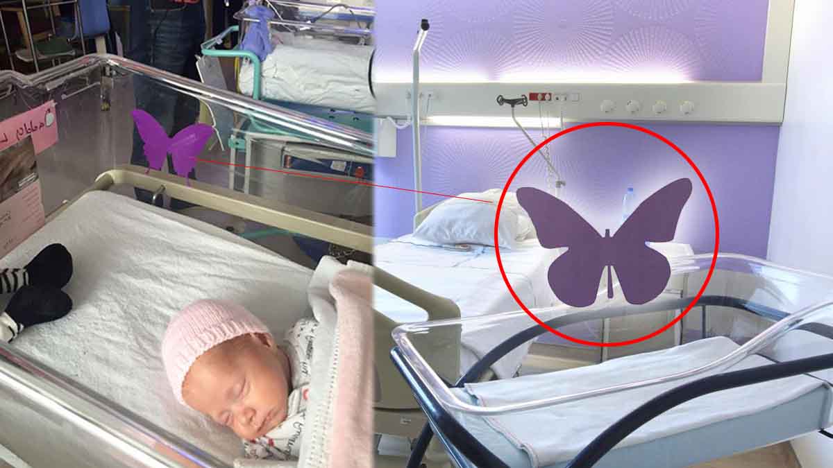 Autocollant papillon violet sur couveuse