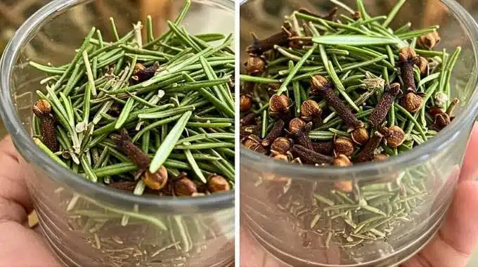 Mélange de romarin et de clous de girofle dans un bol en bois