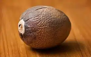 Noyau d'avocat nettoyé prêt à germer