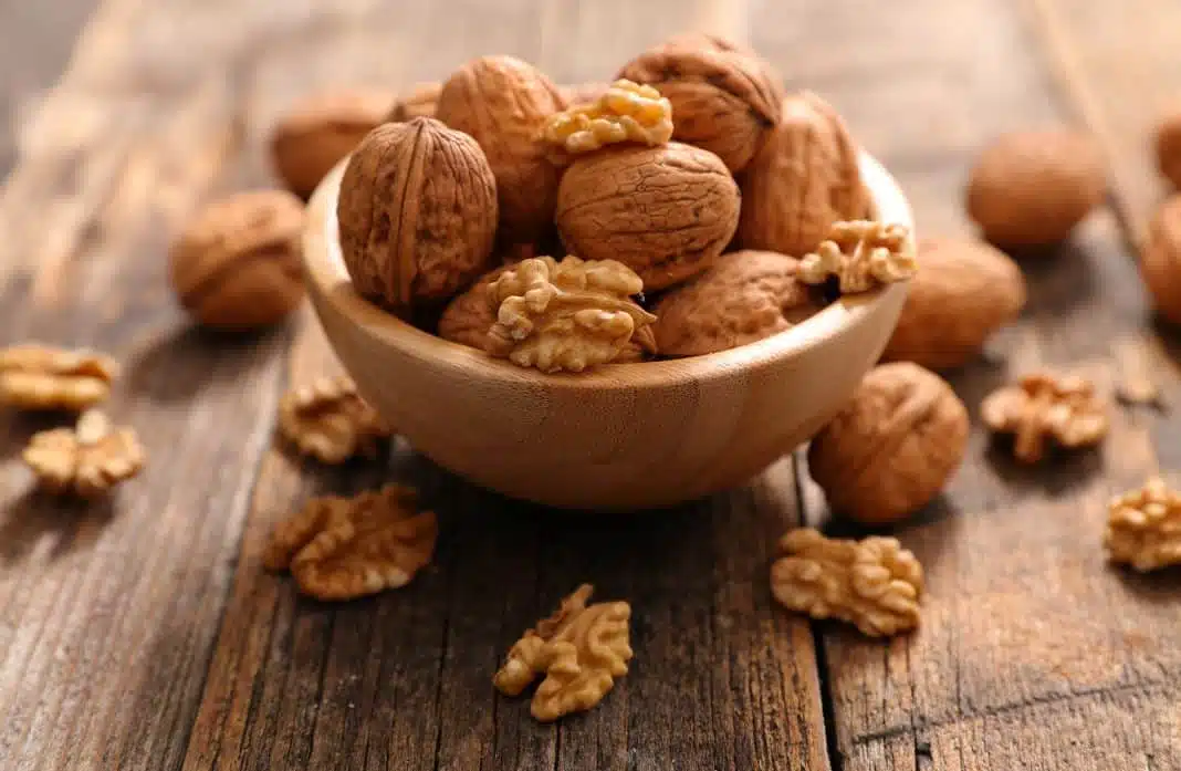 Des cerneaux de noix fraîchement sortis de leur coque