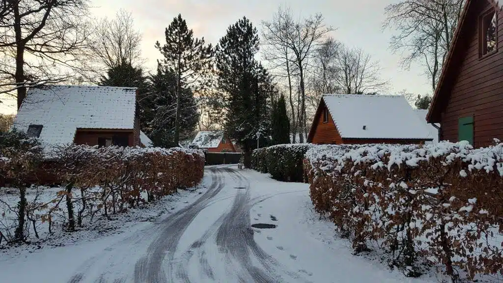 Traces d'animaux dans la neige près d'habitations