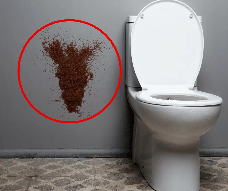 Marc de café versé dans des toilettes
