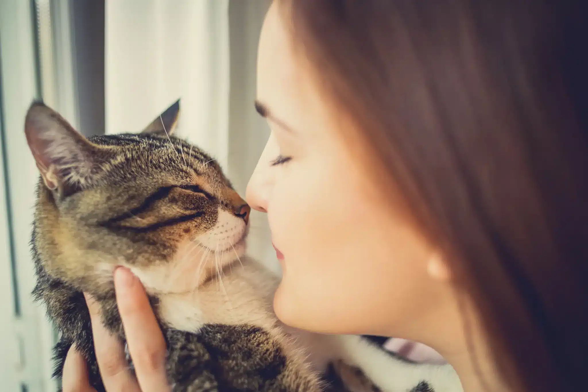 Chat observant son propriétaire dormir