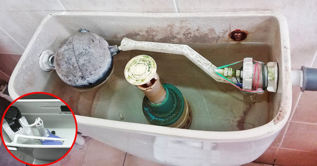 Personne nettoyant le réservoir des toilettes avec une éponge