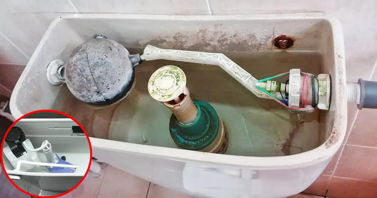 Personne nettoyant le réservoir des toilettes avec une éponge