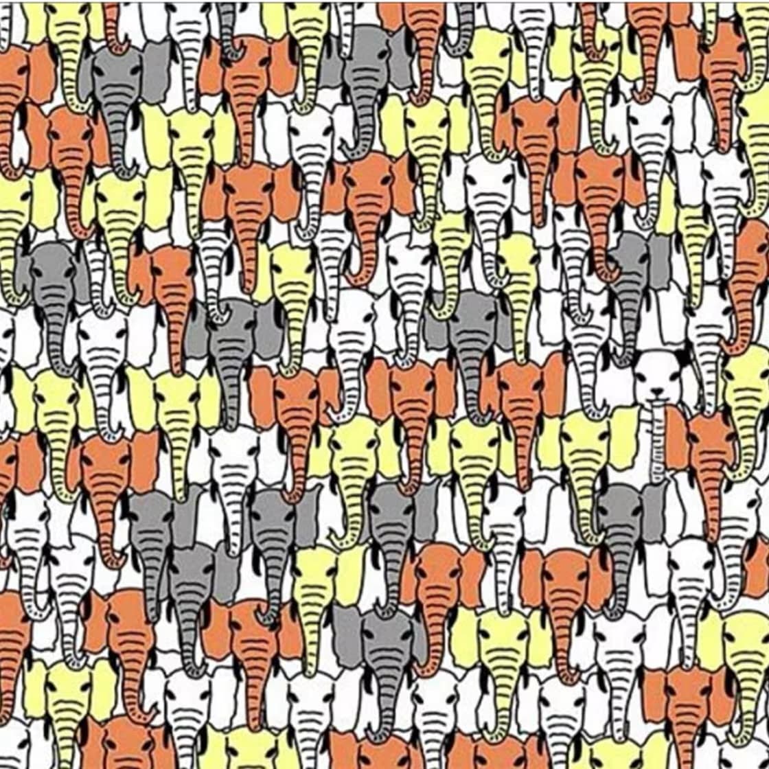 Image d'un puzzle visuel coloré représentant de nombreux éléphants