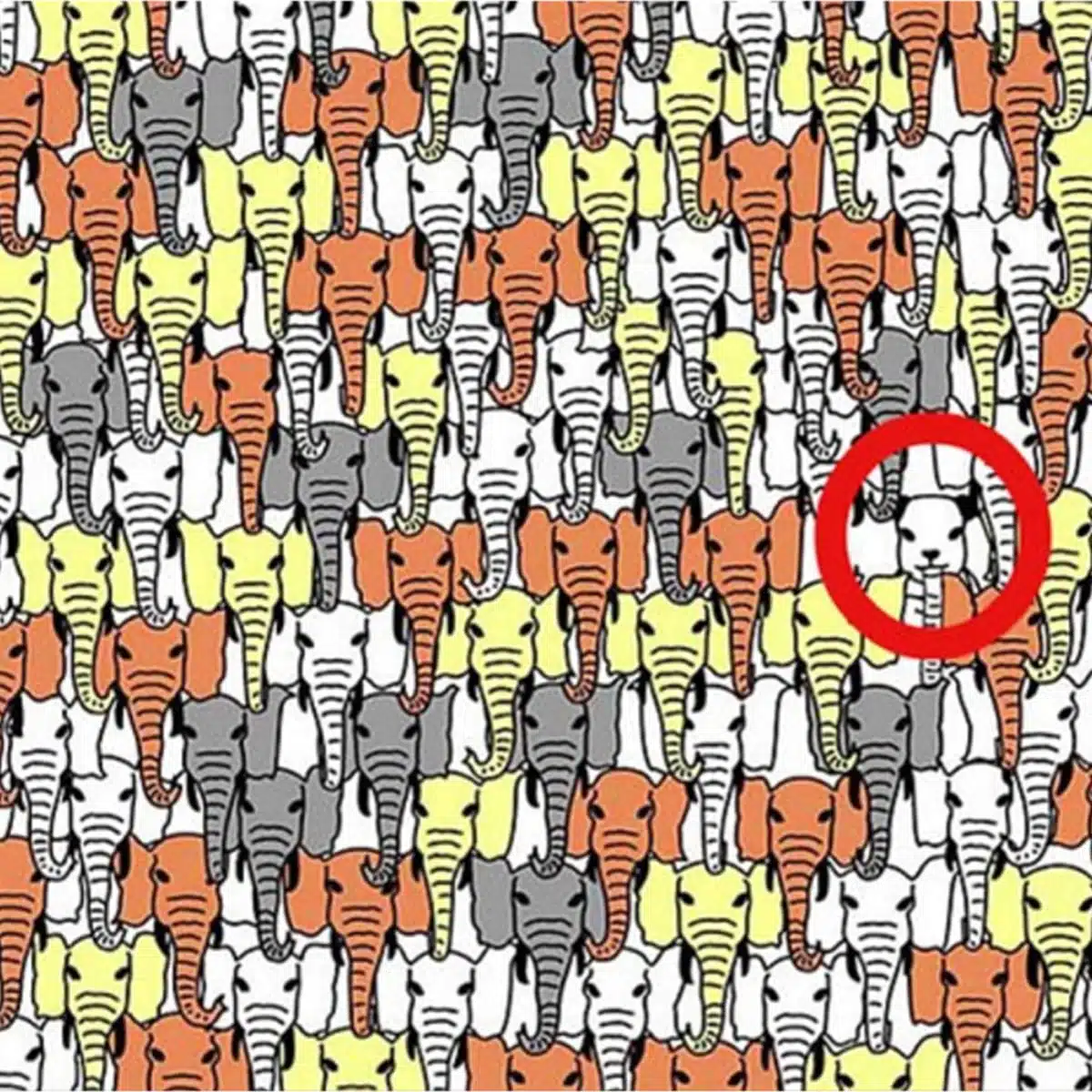 Gros plan sur une section du puzzle montrant des éléphants de couleurs