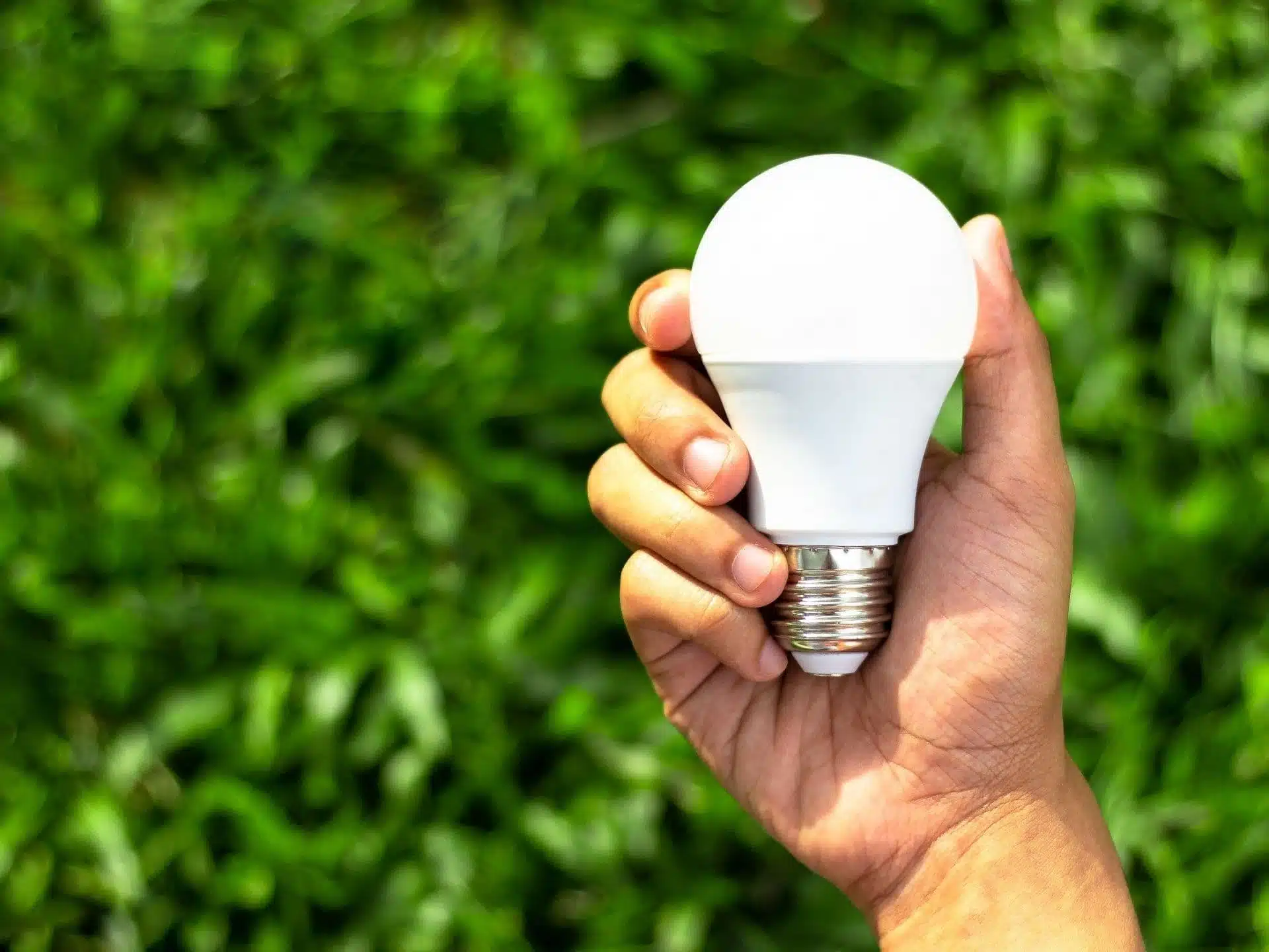 Ampoule LED ouverte montrant ses composants internes