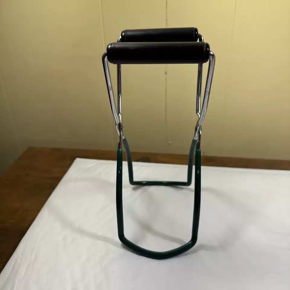 Bocaux de conserve maison alignés