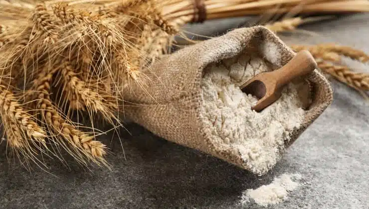 Sac de farine de blé