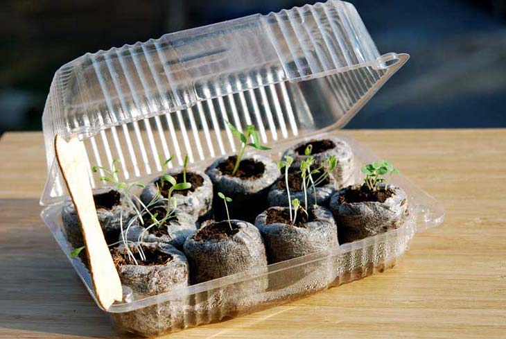 Jardinage - Boite transformée en mini serre 