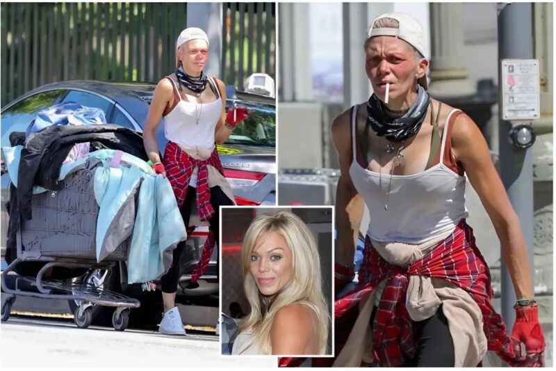 Reflexion sur les choix de vie