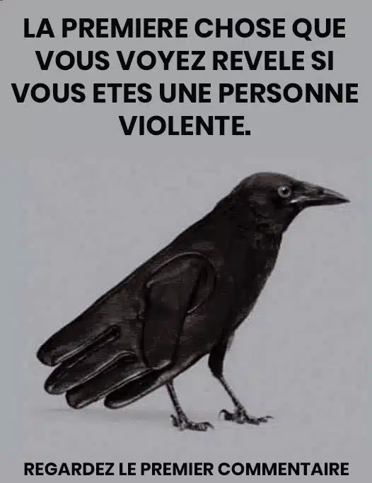 Test psychologique : que voyez-vous sur l’image — un corbeau ou un gant ?