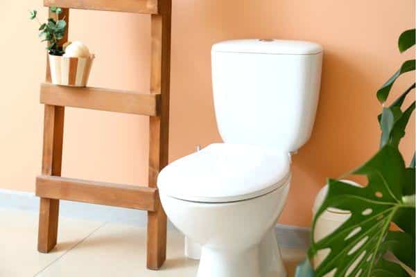 Toilettes impeccables après nettoyage