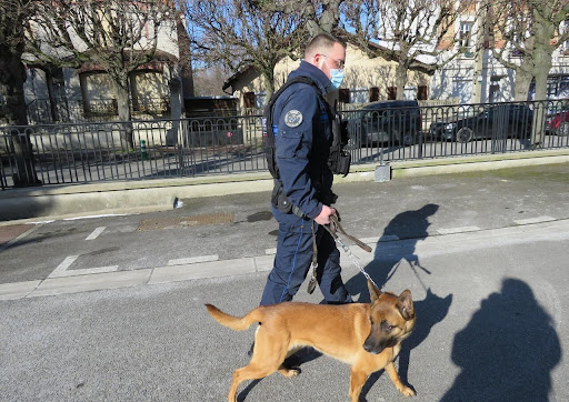 Julien et son chien Nox