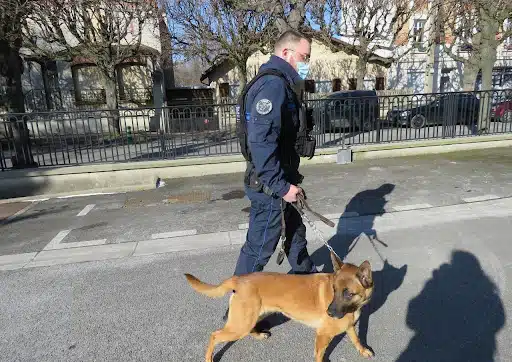 Julien et son chien Nox