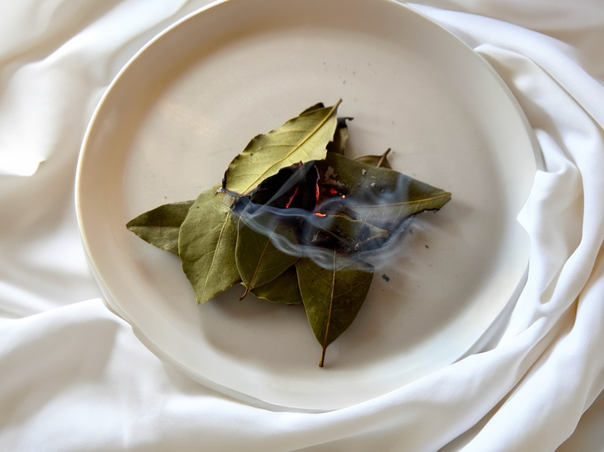 Méthode sécurisée pour brûler du laurier à la maison